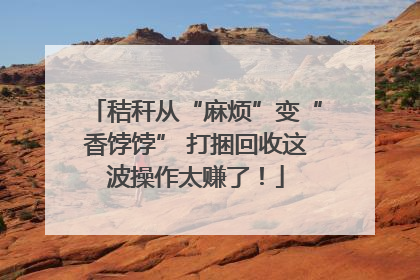 秸秆从“麻烦”变“香饽饽” 打捆回收这波操作太赚了！