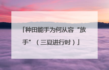种田能手为何从容“放手”（三夏进行时）