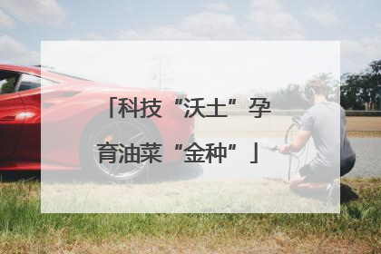 科技“沃土”孕育油菜“金种”