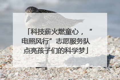 科技薪火燃童心，“电照风行”志愿服务队点亮孩子们的科学梦