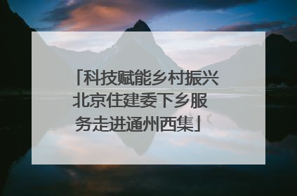 科技赋能乡村振兴 北京住建委下乡服务走进通州西集