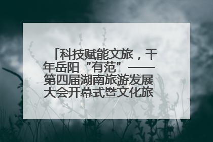 科技赋能文旅，千年岳阳“有范”——第四届湖南旅游发展大会开幕式暨文化旅游推介会侧记