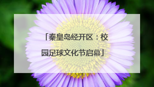秦皇岛经开区：校园足球文化节启幕