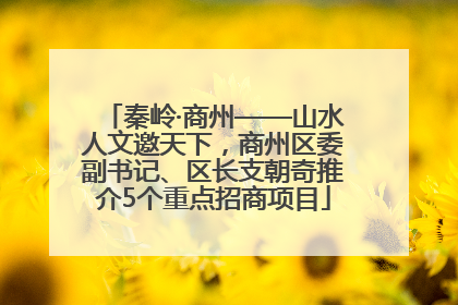 秦岭·商州——山水人文邀天下，商州区委副书记、区长支朝奇推介5个重点招商项目