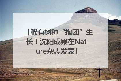 稀有树种“抱团”生长！沈阳成果在Nature杂志发表