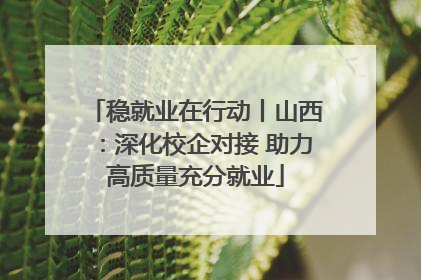 稳就业在行动丨山西：深化校企对接 助力高质量充分就业