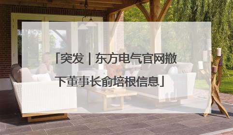 突发｜东方电气官网撤下董事长俞培根信息