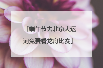 端午节去北京大运河免费看龙舟比赛