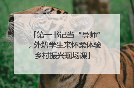 第一书记当“导师”，外籍学生来怀柔体验乡村振兴现场课