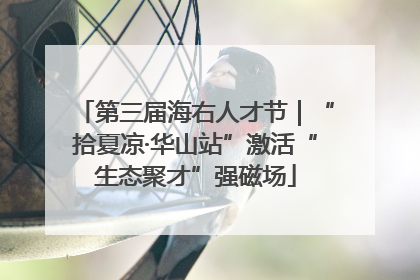 第三届海右人才节｜“拾夏凉·华山站”激活“生态聚才”强磁场