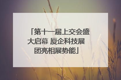 第十一届上交会盛大启幕 厦企科技展团亮相展势能