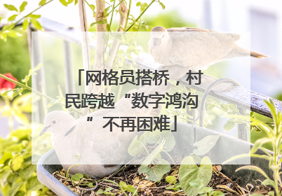 网格员搭桥，村民跨越“数字鸿沟”不再困难