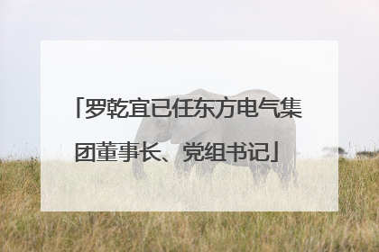 罗乾宜已任东方电气集团董事长、党组书记