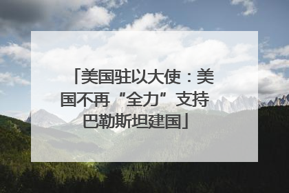 美国驻以大使：美国不再“全力”支持巴勒斯坦建国