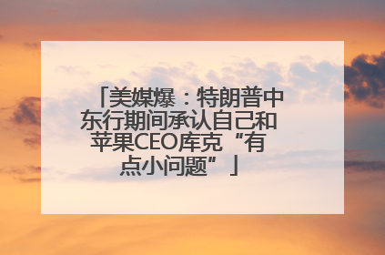 美媒爆：特朗普中东行期间承认自己和苹果CEO库克“有点小问题”