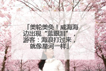 美轮美奂！威海海边出现“蓝眼泪”，游客：海浪打过来，就像星河一样