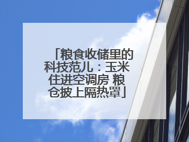 粮食收储里的科技范儿：玉米住进空调房 粮仓披上隔热罩