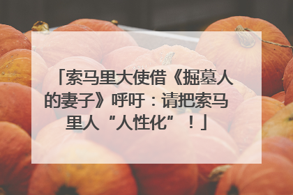 索马里大使借《掘墓人的妻子》呼吁：请把索马里人“人性化”！