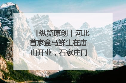 纵览原创｜河北首家盒马鲜生在唐山开业，石家庄门店预计8月开业