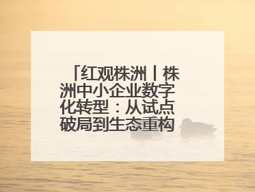 红观株洲丨株洲中小企业数字化转型：从试点破局到生态重构的进阶之路