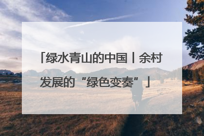 绿水青山的中国丨余村发展的“绿色变奏”