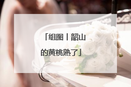 组图丨韶山的黄桃熟了