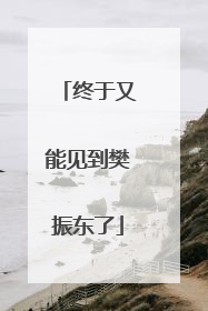 终于又能见到樊振东了
