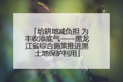 给耕地减负担 为丰收添底气——黑龙江省综合施策推进黑土地保护利用