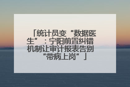 统计员变“数据医生”：宁阳前置纠错机制让审计报表告别“带病上岗”