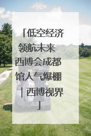低空经济领航未来 西博会成都馆人气爆棚｜西博视界