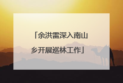 余洪雷深入南山乡开展巡林工作
