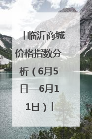临沂商城价格指数分析（6月5日—6月11日）