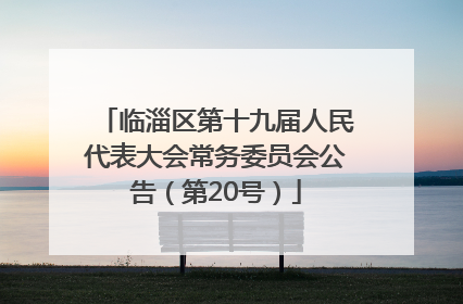 临淄区第十九届人民代表大会常务委员会公告（第20号）