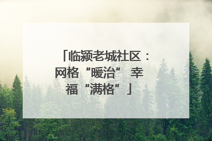 临颍老城社区：网格“暖治” 幸福“满格”