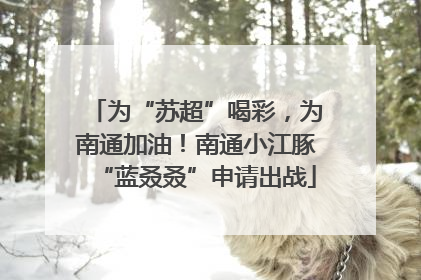 为“苏超”喝彩，为南通加油！南通小江豚“蓝叒叒”申请出战