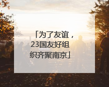 为了友谊，23国友好组织齐聚南京