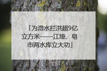 为澧水拦洪超9亿立方米——江垭、皂市两水库立大功