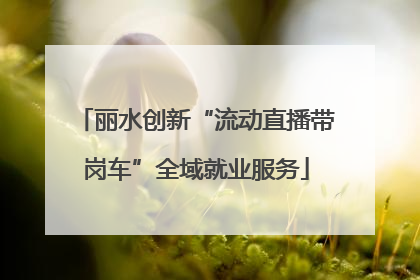 丽水创新“流动直播带岗车”全域就业服务