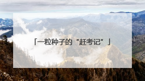一粒种子的“赶考记”