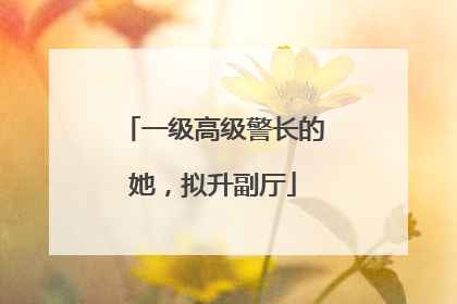 一级高级警长的她，拟升副厅