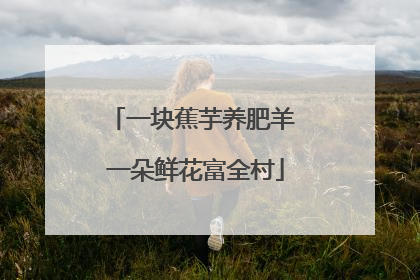 一块蕉芋养肥羊 一朵鲜花富全村