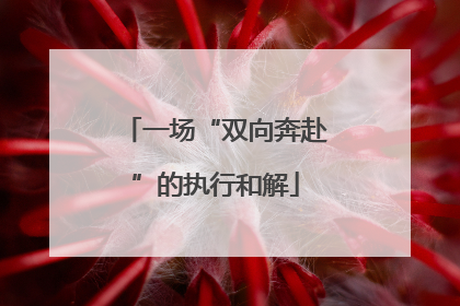 一场“双向奔赴”的执行和解