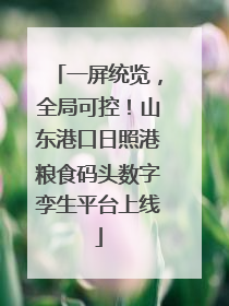 一屏统览，全局可控！山东港口日照港粮食码头数字孪生平台上线