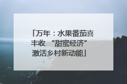 万年：水果番茄喜丰收 “甜蜜经济”激活乡村新动能