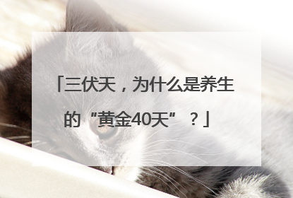 三伏天，为什么是养生的“黄金40天”？