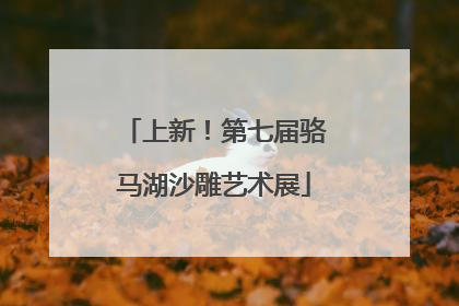 上新！第七届骆马湖沙雕艺术展