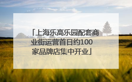 上海乐高乐园配套商业街运营首日约100家品牌店集中开业