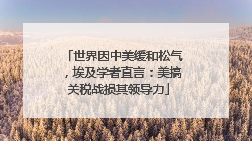 世界因中美缓和松气，埃及学者直言：美搞关税战损其领导力