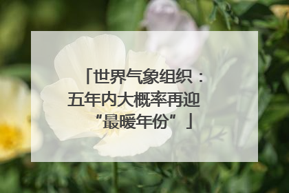 世界气象组织：五年内大概率再迎“最暖年份”