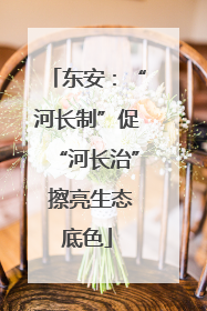 东安：“河长制”促“河长治” 擦亮生态底色